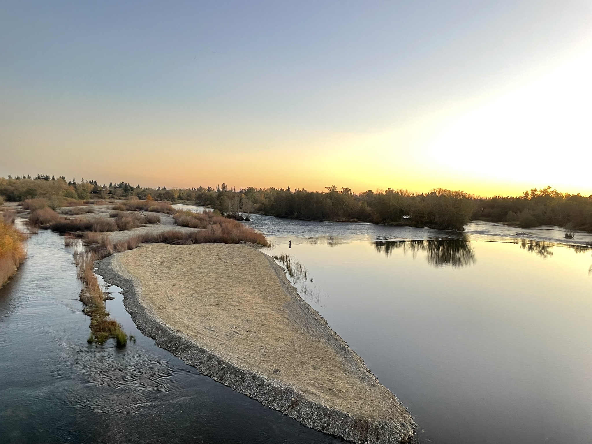 Water Forum Receives $333,000 State Grant to Plan New Salmon Habitat on the American River