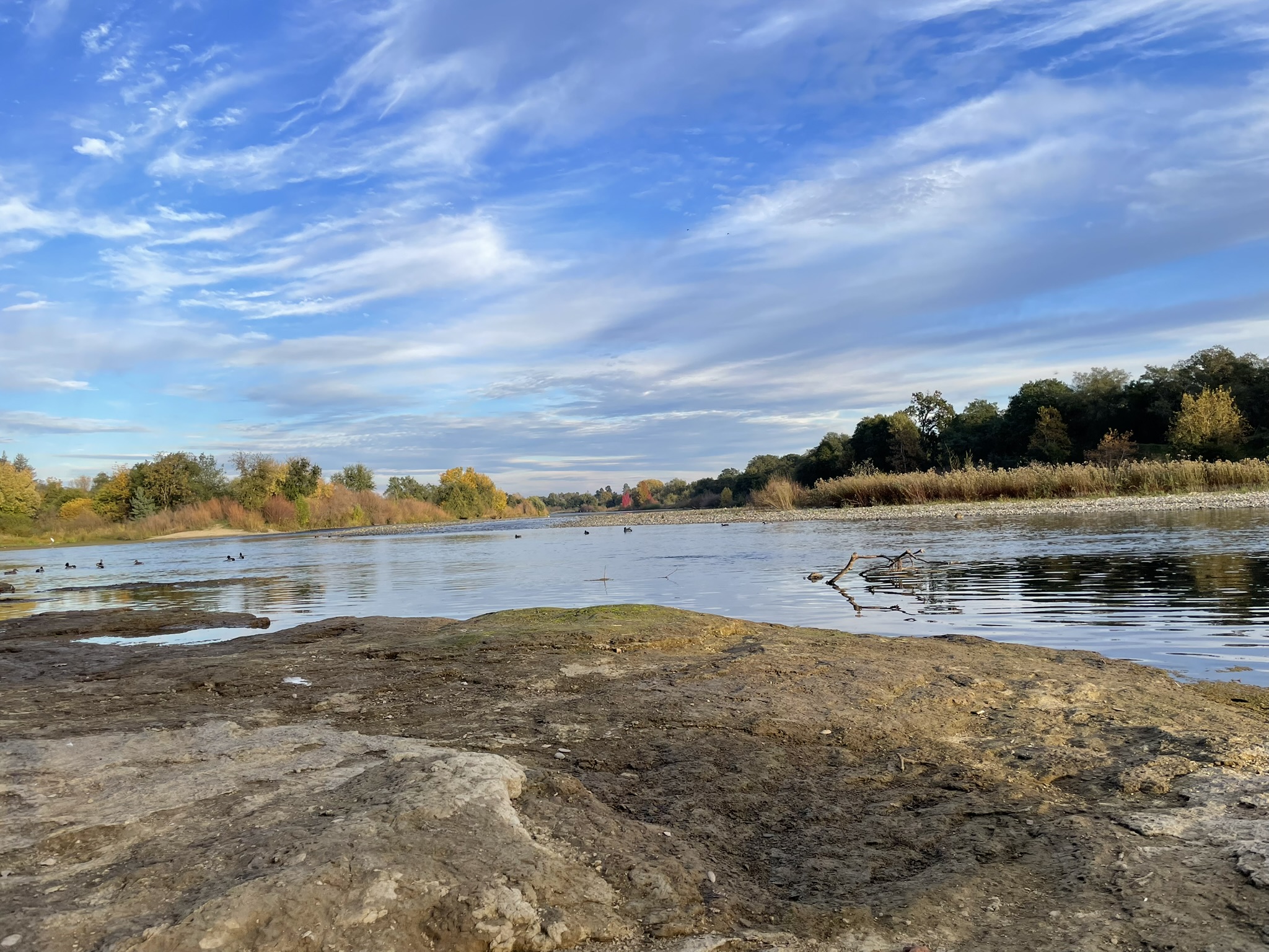 Lower American River Task Force Transitions to Roundtable and New Meeting Structure